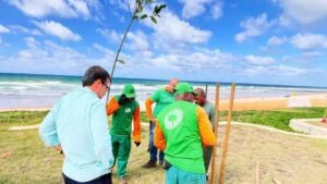 Orla de Pituaçu recebe mais de 20 árvores em ação de arborização pela Secis