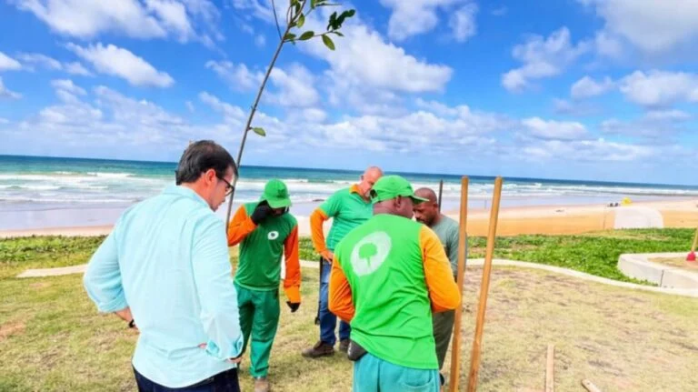 Orla de Pituaçu recebe mais de 20 árvores em ação de arborização pela Secis