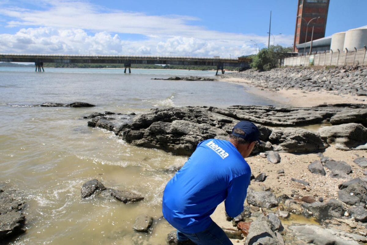 Após danos ambientais em São Tomé de Paripe, Justiça bloqueia quase R$ 400 milhões da Gerdau e Intermaritima