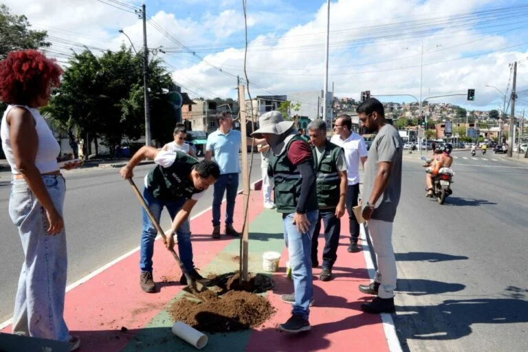 Secretário da Secis Salvador realiza arborização na avenida Suburbana