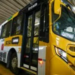 Prefeitura de Salvador cancela licitação para compra de 180 ônibus “amarelinhos”