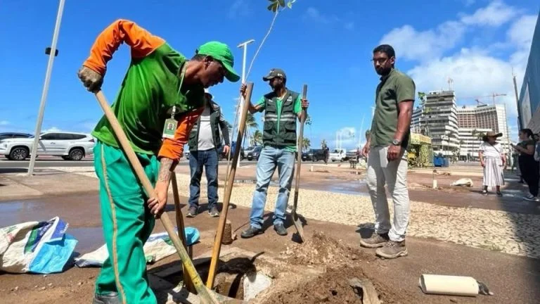 Orla de Salvador recebe plantio de 29 árvores em ação de arborização em Ondina