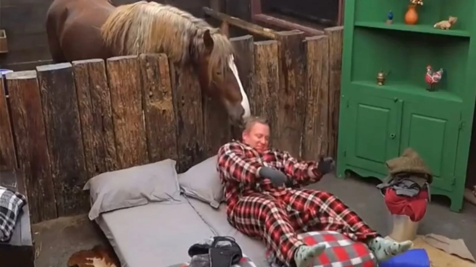 Égua lambe cabeça de ex ator da Globo durante reality A Fazenda e cena viraliza nas redes sociais; confira o vídeo