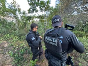 Operação Divisa Segura alcança faccionado de São Paulo responsável pelo comércio e distribuição de fuzis na região Nordeste