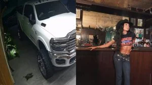 Ana Castela leva susto ao se deparar com animal silvestre na garagem; veja vídeo