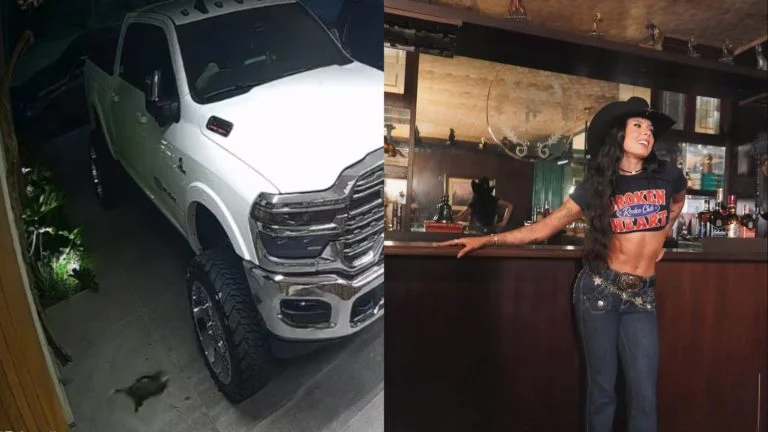 Ana Castela leva susto ao se deparar com animal silvestre na garagem; veja vídeo