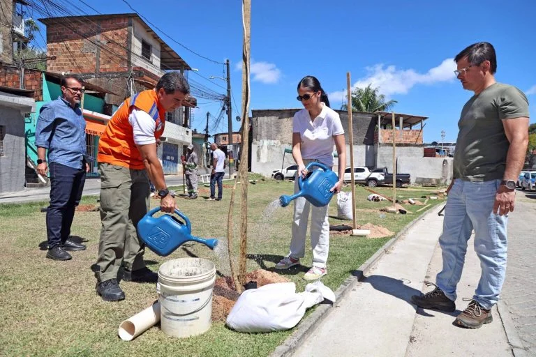 Prefeitura de Salvador finaliza Operação Plantio Chuva após plantar mais de 10 mil mudas