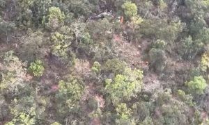 Passageiro de helicóptero aciona próprio resgate após cair em mata fechada
