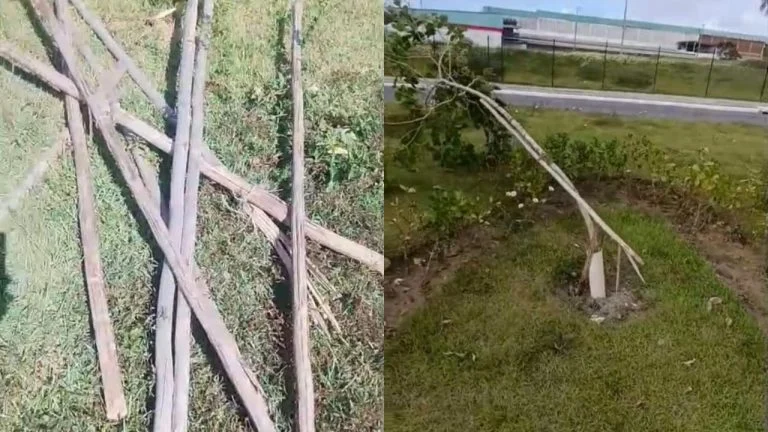 Prefeitura de Lauro de Freitas repudia vandalismo contra projeto ambiental