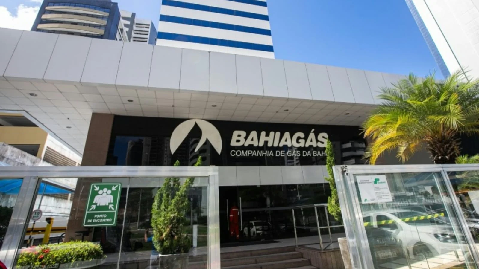 Rascunho automático