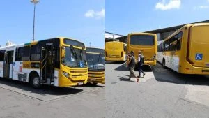 PGE e Procon encaminham às autoridades denúncias sobre supostas irregularidades na falta de transporte público em Salvador du