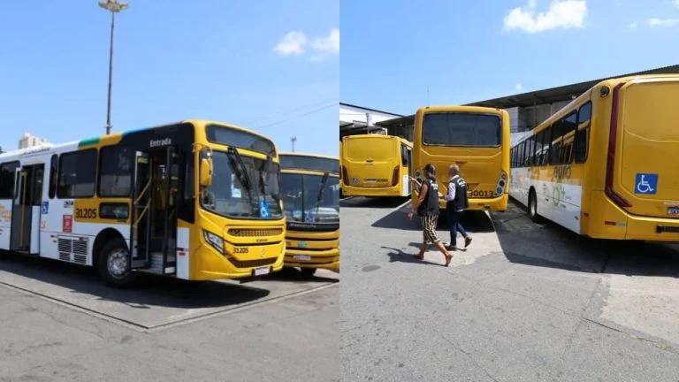 PGE e Procon encaminham às autoridades denúncias sobre supostas irregularidades na falta de transporte público em Salvador du