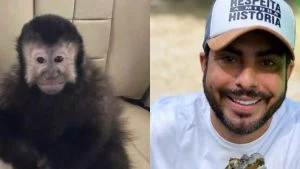Macaco de estimação de ex deputado estadual morre, e ele cobra justiça: “Vou até o fim”