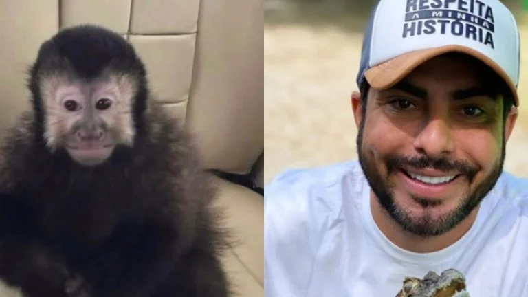 Macaco de estimação de ex deputado estadual morre, e ele cobra justiça: “Vou até o fim”